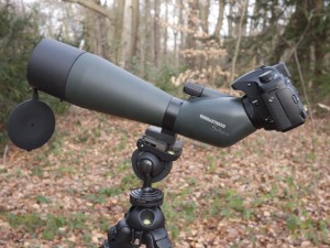 Digiscoping – bird photography with spotting scopes