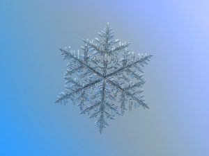 How to photograph snowflakes